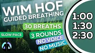 WIM HOF Guided Breathing | 30 Breaths 3 Rounds Slow Pace | Up to 2:30min | No Voice No Music