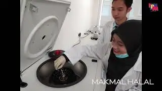Kolej Profesional MARA Bandar Melaka