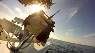 Rosie Fishing 1-9-2016