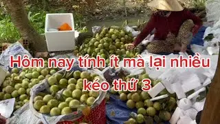 Hôm nay tính ít mà lại nhiều(kéo thứ 3)