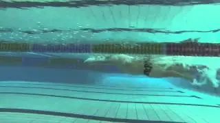 Swim Analysis