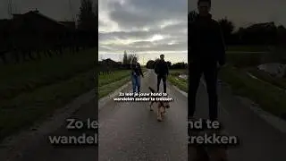 Zeg maar dag tegen trekken aan de lijn! 🐕&zwj;🦺