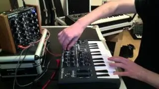 Arturia Microbrute vs Doepfer Dark Energy II