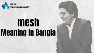 Mesh Meaning | Learn English Vocabulary in Bangla