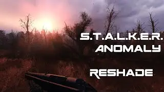 S.T.A.L.K.E.R. Anomaly. Reshade. Как установить решейды.
