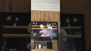 Squirrel glitched