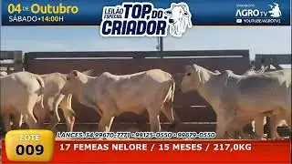 009   17 FEMEAS NELORE   217K