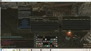 Guia Manor L2 - Guia Manor Manager Lineage 2 - Video 3