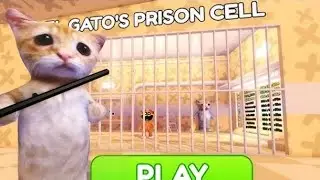 Escapando da prisão do el gato no roblox!