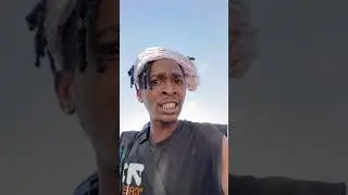 Jbake о том, как здорово быть птичьим мозгом 🐦 🧠