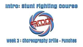 INTRO WEEK 3 | ONLINE STUNT FIGHTING COURSE | CHOREOGRAPHY DRILLS - PUNCHES