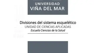 Divisiones del sistema esquel&eacute;tico (anatom&iacute;a general del esqueleto)