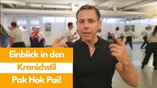 Einblick in den Kranichstil / Pak Hok Pai!