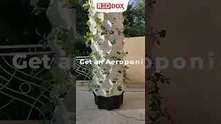 Reddox Studio&rsquo;s Aeroponic Towers #farming #smartagriculture #gardening #shorts  #smartfarming