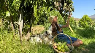 Never thought we would be doing this! - Looking after 100+ fruit trees in our 20's