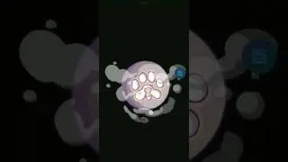 Paws Airdrop Eligibility Checker & Claim Update | Check Your PAWS Airdrop Allocation #pawsairdrop