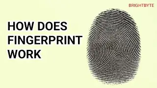 Unlocking the Mystery: How Fingerprints Work!
