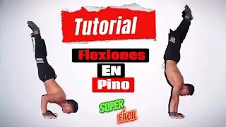 🚨tutorial flexiones de pino 😎👌🔥 #calisteniaencasa #calisteniaparatodos #tutorial #fly