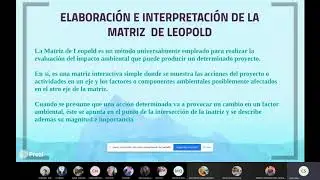 Elaboraci&oacute;n y Llenado de la Matriz de Leopold - Seguridad ITEP - Carlos Javier Salas Carbajal