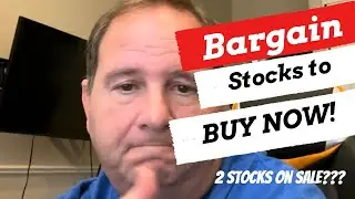 Two Undervalued Stocks in an Overvalued Market!