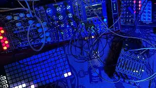 Modular noodling 2024/07/22: Weston Precision Audio PA0 Phase Animated Oscillator