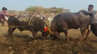 स्टार बुरहानपुर 🆚कालू किंग नेपानगर हैलो की टक्कर दिनांक/17/02/2026/