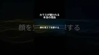 9割の人が知らない、カラスが嫌われる本当の理由 #shorts