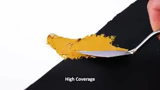 Phoenix Artist Fine Oil Paint Review &ndash; 50 colours, 200ml & 40ml Tubes, 6 & 12-Color Sets