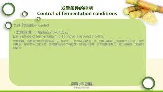 4.6 Glutamic acid and its production method