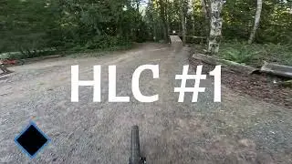 Big Tree and HLC at Duthie