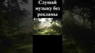 Nature's Symphony  A Forest Journey | Симфония Природы  Лесное Путешествие #shorts #music #музыка
