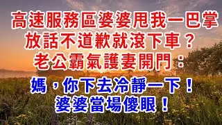 高速服務區婆婆甩我一巴掌，放話不道歉就滾下車？老公直接開門：媽，你下去冷靜！婆婆當場傻眼！