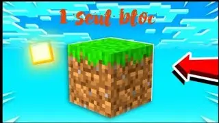 Minecraft mais je dois survivre sur un seul bloc