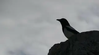 Старый Херсонес