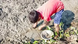 fishing video.boy hand fishing in village mud.traditional fishing life