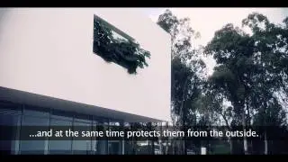 Introduction to the Mohammed VI Football Academy project