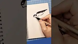 Bird  easy drawing