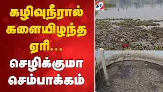 கழிவுநீரால் களையிழந்த ஏரி - செழிக்குமா செம்பாக்கம்
