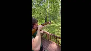 Beretta Revelli (1918) presentation and test fire / presentazione e prova a fuoco