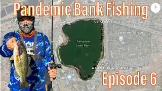Almaden Lake Pandemic Bank Fishing Episode 6