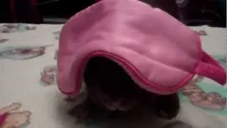 Sunday Wearing an Eyemask