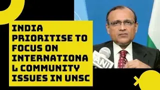 India Prioritise To Focus On International Community Issues In UNSC: TS Tirumurti | Catch News