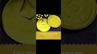شرح سحب الارباح $ الي محفظة بينانس