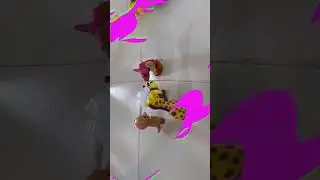 the snakes daughter try&rsquo;s to mess with the royal bee family&rsquo;s daughter