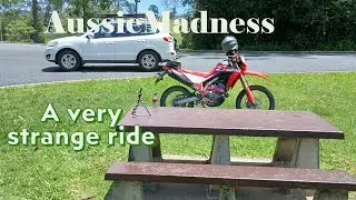 Honda A strange ride#crf300l #adventurebikes