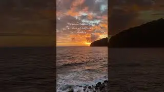 Healing & Intention Quotes for Emotional Well-Being | Day 18 | #HealingQuotes | @bespokedreamz