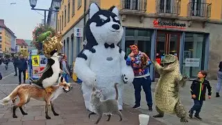 Hund Bello in W&uuml;rzburg von Die Schule der magischen Tiere 4 unterwegs mit Justus K&ouml;nig J.K 👑