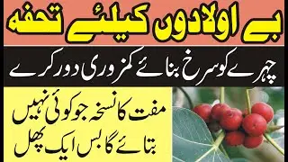 25 Evidently Health Benefits of Banyan Tree Fruit | برگد کے پھل کے فائدے | Bohar ke Phal ke fayde