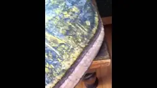 Real skateboard deck review