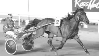 An Inter Dominion Memory - Jofess and Darren Hancock